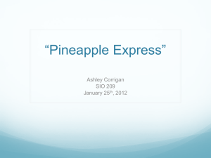 “Pineapple Express”  Ashley Corrigan SIO 209