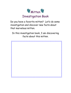 Mitten  Investigation Book