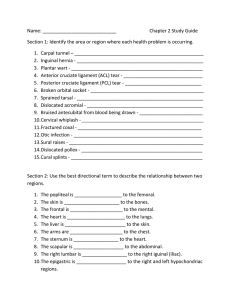 Name: ____________________________  Chapter 2 Study Guide
