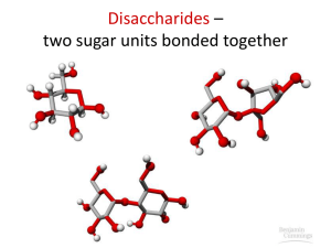 Disaccharides – two sugar units bonded together
