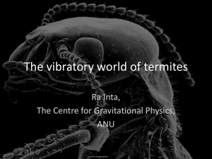 The vibratory world of termites Ra Inta, The Centre for Gravitational Physics, ANU