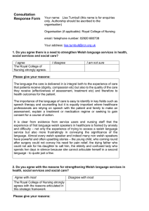 Consultation Response Form