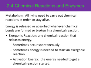 2-4 Chemical Reactions and Enzymes
