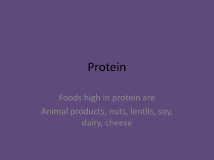Protein Foods high in protein are Animal products, nuts, lentils, soy, dairy, cheese
