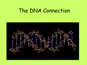 The DNA Connection