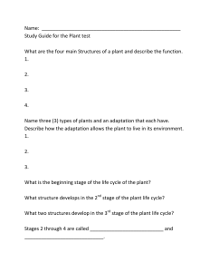 Name:  ___________________________________________________ Study Guide for the Plant test