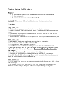 Plant vs. Animal Cell Structures  Purpose