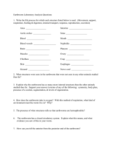 Document14226185 14226185