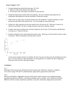 Essays Chapters 7 &amp; 8