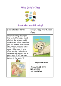 Miss Julie’s Class  Look what we did today!