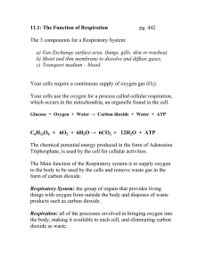 11.1: The Function of Respiration  pg. 442