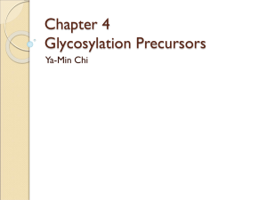 Chapter 4 Glycosylation Precursors Ya-Min Chi