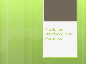 Predation, Herbivory, and Parasitism