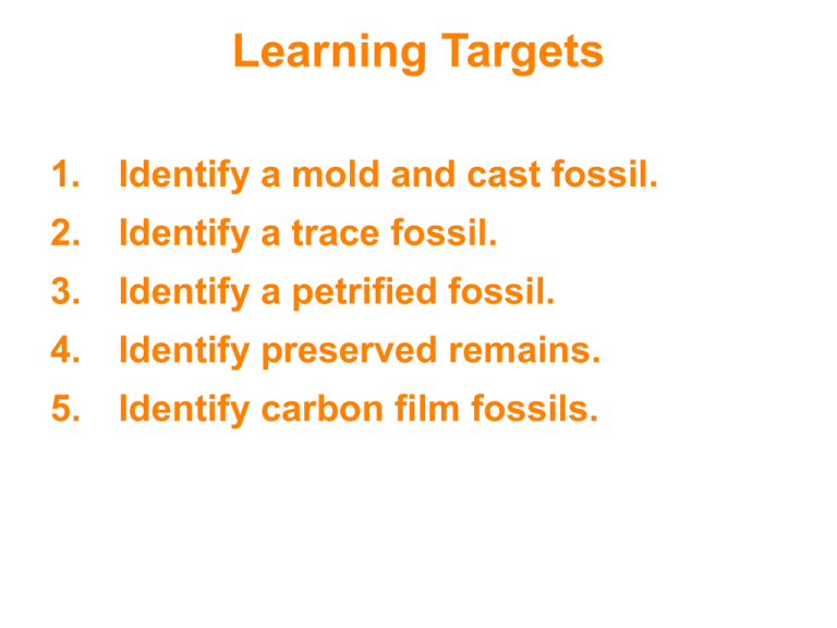 Learning Targets