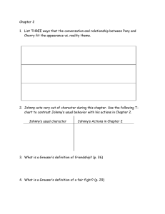 The Outsiders Chapter 2 Worksheet
