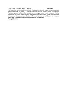 Large Group Activities – Open – Hockey  PAL2OH