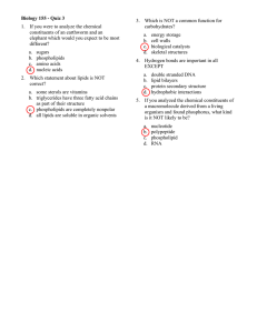 Biology Quiz: Chemical Constituents & Macromolecules