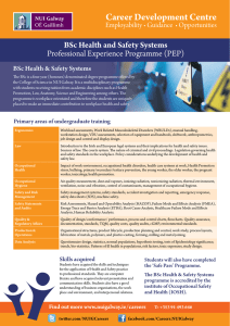 Career Development Centre BSc Health and Safety Systems Professional Experience Programme (PEP)
