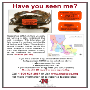 Have you seen me?