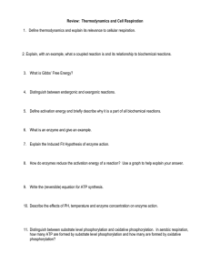 Review:  Thermodynamics and Cell Respiration