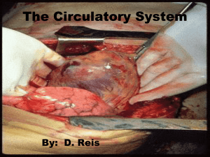 The Circulatory System By:  D. Reis