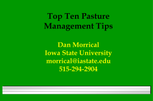 Top Ten Pasture Management Tips Dan Morrical Iowa State University