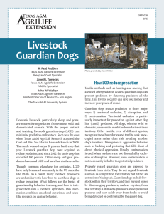 Livestock Guardian Dogs How LGD reduce predation R. Reid Redden