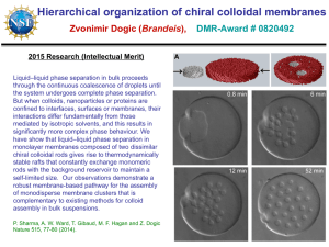Hierarchical organization of chiral colloidal membranes Zvonimir Dogic ( ),