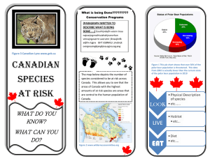 What is being Done????????? Conservation Programs (PARAGRAPH WRITTEN TO DESCRIBE WHAT IS BEING