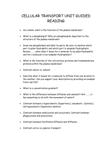 Cellular Transport Guided Reading: Plasma Membrane & Osmosis