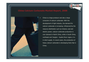 China Calcium Carbonate Market Report, 2008