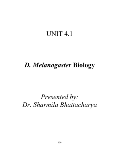 UNIT 4.1 D. Melanogaster Presented by: