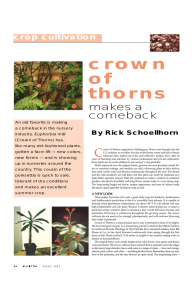 crown of thorns makes a
