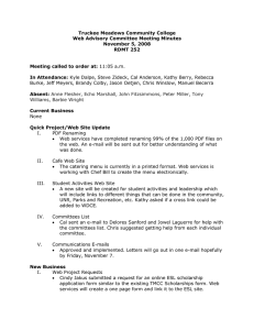 Truckee Meadows Community College Web Advisory Committee Meeting Minutes November 5, 2008
