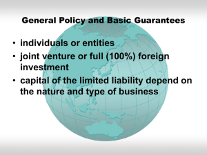 individuals or entities joint venture or full (100%) foreign investment