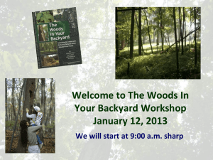 Welcome to The Woods In Your Backyard Workshop January 12, 2013