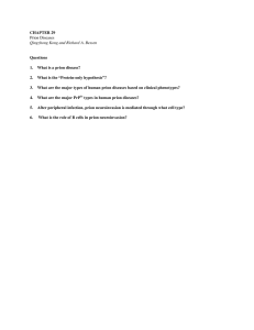 CHAPTER 29 Questions 1.  What is a prion disease?