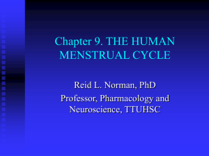 Chapter 9. THE HUMAN MENSTRUAL CYCLE Reid L. Norman, PhD Professor, Pharmacology and
