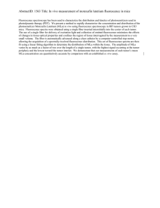 AbstractID: 1563 Title: In vivo measurement of motexafin lutetium fluorescence...