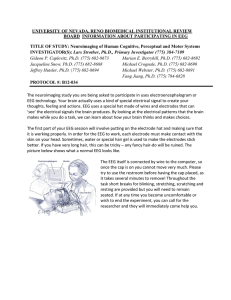 EEG addendum