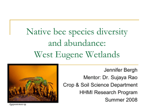 Native bee species diversity and abundance: West Eugene Wetlands