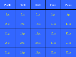 Plants Jeopardy 1