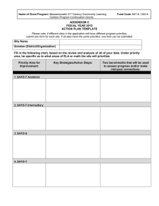 ADDENDUM C FISCAL YEAR 2015 ACTION PLAN TEMPLATE