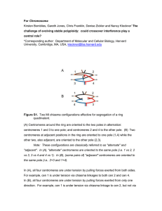 Chromosoma The challenge of evolving stable polyploidy:  could crossover interference play... central role?