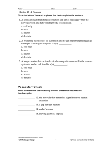 Neurons Study Guide: Structure, Function, and Types