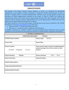 UNDEF Project Narrative Report Template