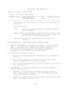 CLF316