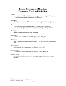Lesson: Genotype and Phenotype Vocabulary Words and Definitions