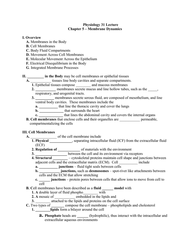 Membrane Dynamics