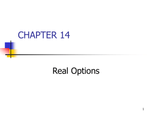 CHAPTER 14 Real Options 1